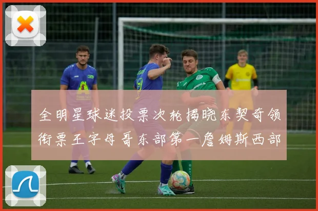 全明星球迷投票次轮揭晓东契奇领衔票王字母哥东部第一詹姆斯西部第八